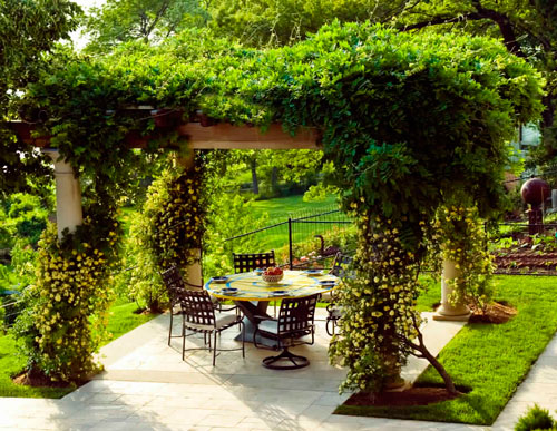 Какие бывают перголы для вьющихся растений пергола для вьющихся растений