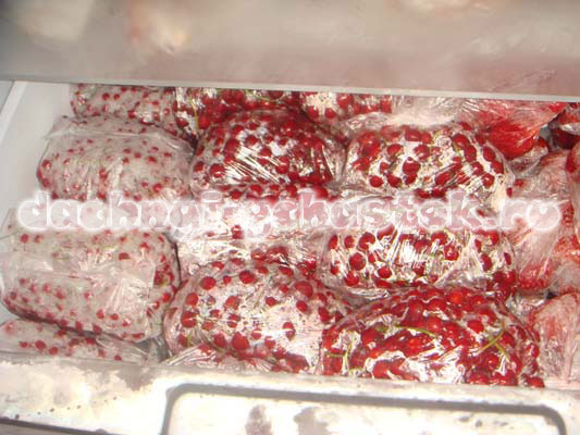 Как правильно заморозить черную и красную смородину на зиму как заморозить смородину