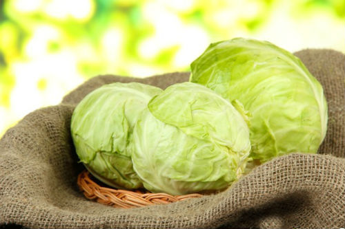 Как сохранить капусту в погребе до весны как хранить капусту зимой в погребе