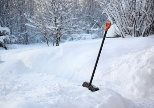 Лунный посевной календарь огородника и садовода на февраль 2017 лунный посевной календарь на февраль 2017