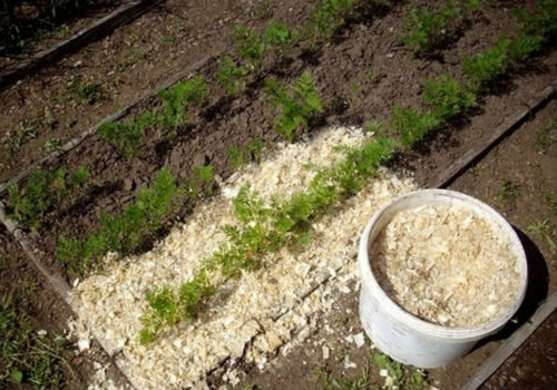 Как сделать мульчу своими руками и для чего она нужна мульча своими руками