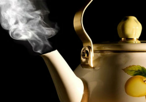 Как проводится обработка смородины кипятком в весенний период обработка смородины кипятком весной