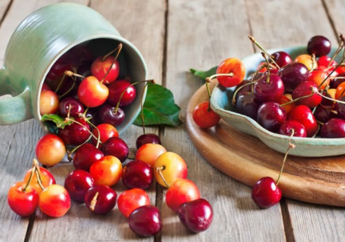 Почему черешня становится червивой и как защитить дерево червивая черешня