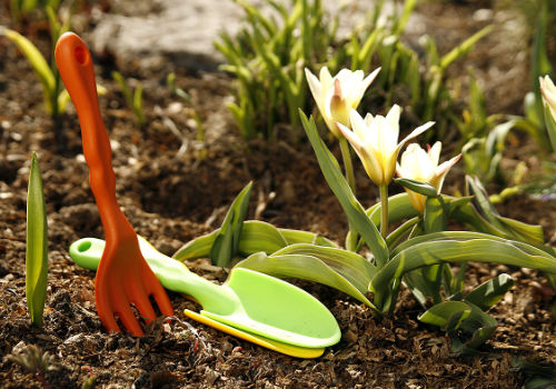 Лунный посевной календарь огородника и садовода на апрель 2017 год лунно посевной календарь на апрель