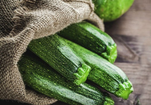 Как выращивать кабачки в мешках выращивание кабачков в мешках