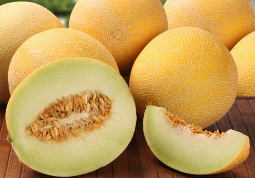 Как правильно сохранить дыню в домашних условиях как хранить дыню