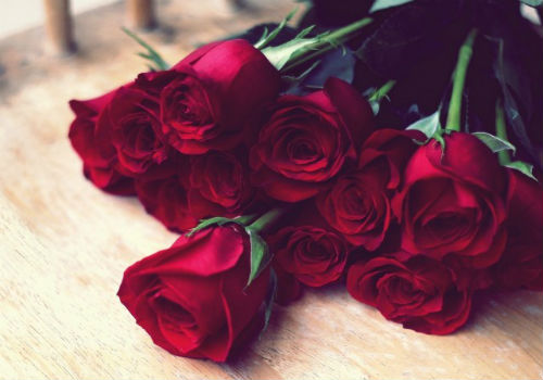 Как прорастить и посадить розу из подаренного букета как вырастить розу из букета