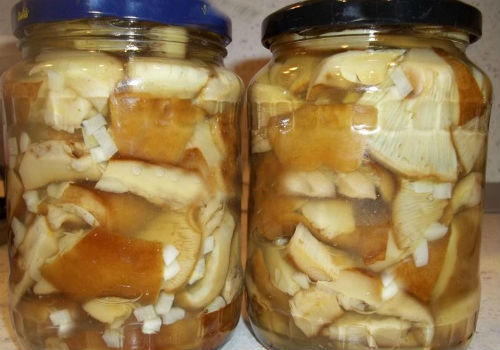 Как солить грузди горячим способом на зиму засолка груздей горячим способом