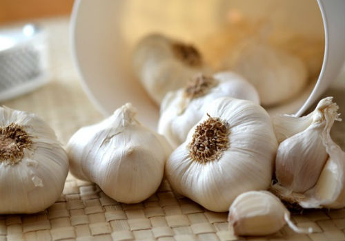 Хранение чеснока в условиях городской квартиры как хранить чеснок правильно