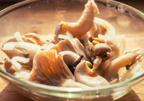 Как правильно засолить сыроежки в домашних условиях как солить сыроежки