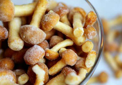 Как заморозить опята в домашних условиях как заморозить опята на зиму