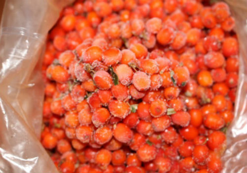 Как правильно заморозить облепиху как заморозить облепиху