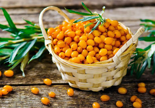 Заготовка на зиму целебной облепихи, перетертой с сахаром облепиха с сахаром на зиму без варки