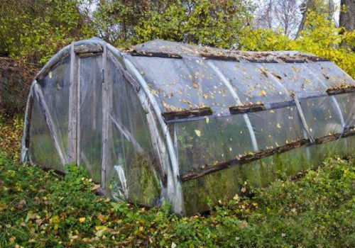 Как подготовить теплицу к зиме и зачем подготовка теплицы к зиме осенью