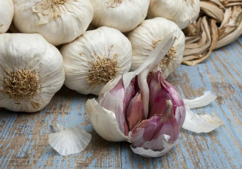 Технология посадки чеснока под зиму и лунный календарь на 2017 год когда сажать чеснок под зиму в 2017