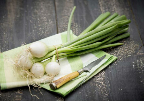 Как вырастить лук в пакете на окне, без земли Выращивание лука в пакете