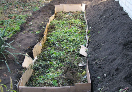 Как сделать теплые грядки для выращивания огурцов теплая грядка для огурцов