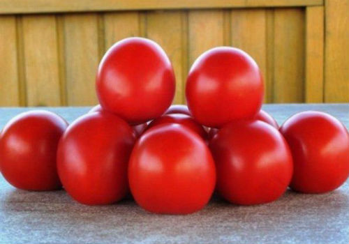 Характеристика и описание сорта томата Санрайз томат санрайз характеристика и описание сорта