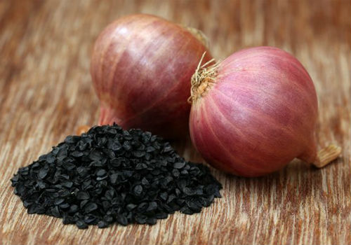 Выращивание лука из семян на приусадебном участке Как вырастить лук из семян