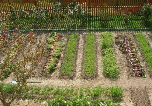 Как соорудить грядки по Митлайдеру на своем огороде грядки по Митлайдеру