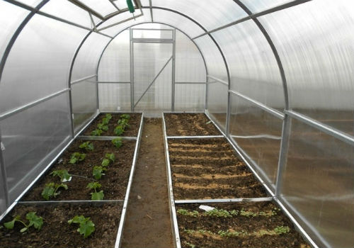 Как сделать и обустроить грядки в теплице как сделать грядки в теплице