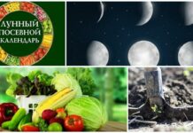 Лунный посевной календарь на 2021 год