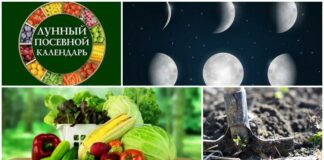Лунный посевной календарь на 2021 год