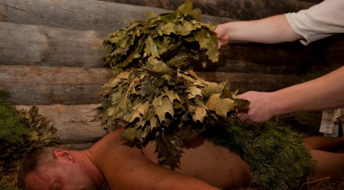 Польза трав для банных процедур