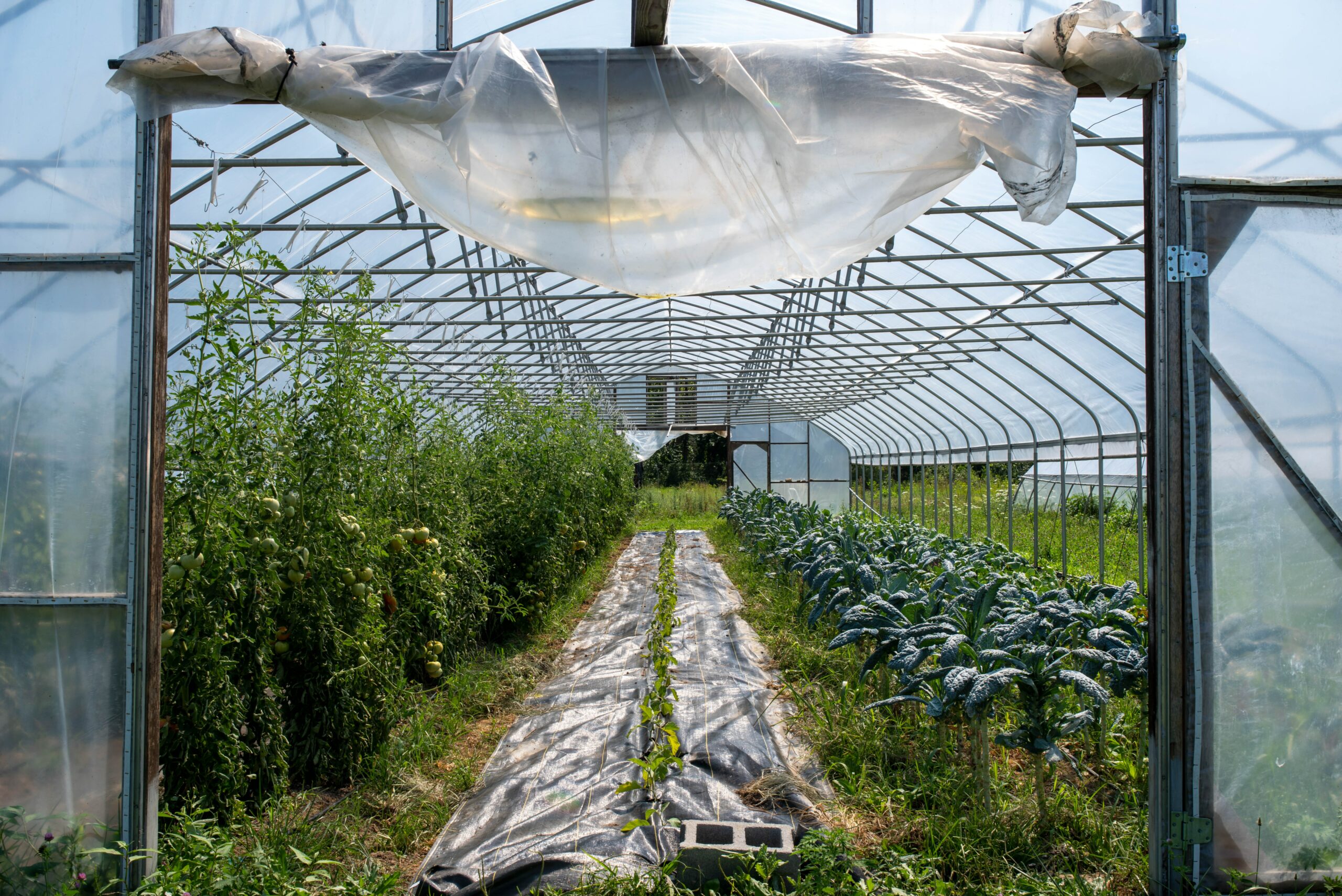 Проверить земельный участок: что нужно знать