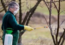 Виды садовых опрыскивателей