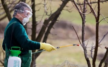 Виды садовых опрыскивателей