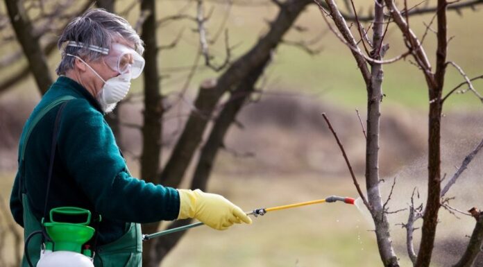 Виды садовых опрыскивателей