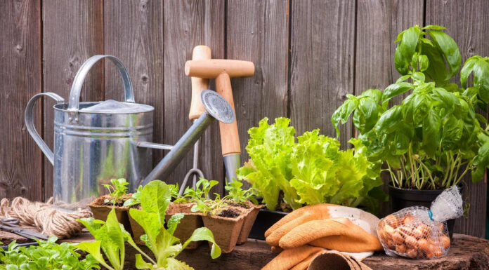 Преимущества сайтов для огородников