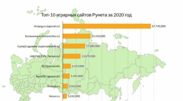 Что посеешь, то и пожнешь: самые читаемые агросайты России за 2020 год