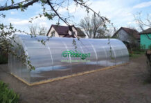 Мифы о теплицах из поликарбоната