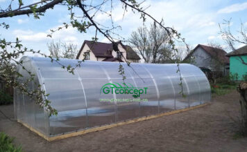 Мифы о теплицах из поликарбоната