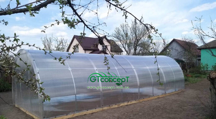 Мифы о теплицах из поликарбоната