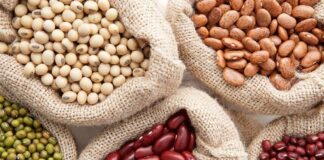 Реализация разных видов фасоли по оптовым ценам