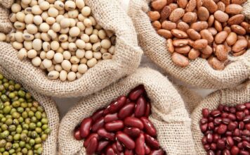 Реализация разных видов фасоли по оптовым ценам