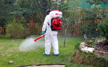 Как избавиться от клещей, комаров и муравьев на участке