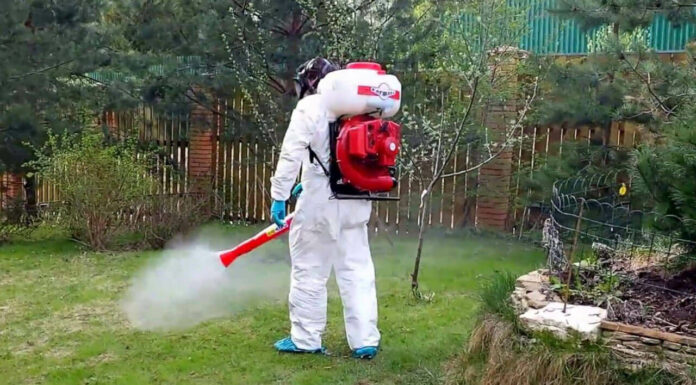 Как избавиться от клещей, комаров и муравьев на участке