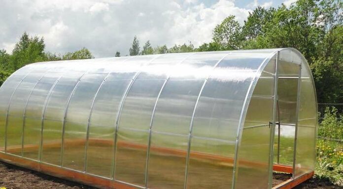Как выбрать теплицу из поликарбоната