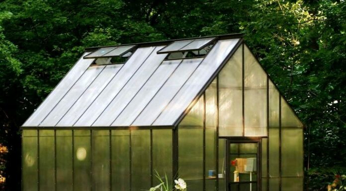 Наслаждаясь собственной теплицей — какие возможности она предоставляет