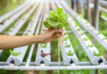 Гидропонные системы GHE