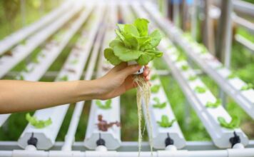 Гидропонные системы GHE