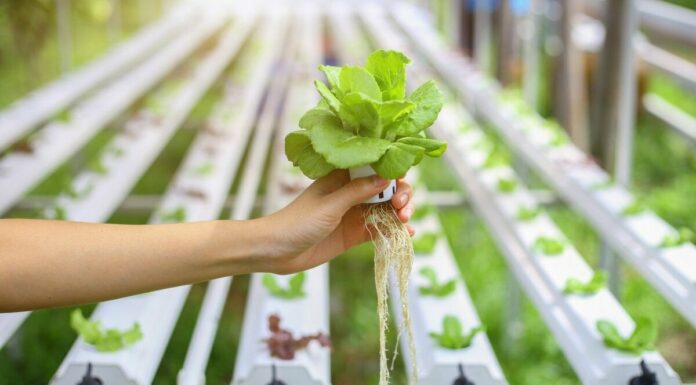 Гидропонные системы GHE