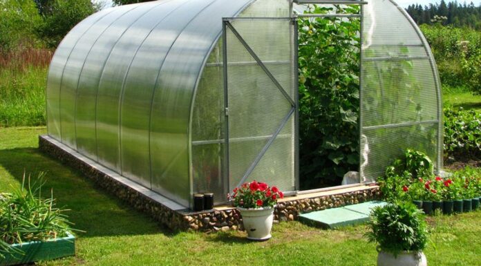 Как правильно выбрать теплицы?