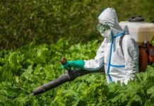 Для чего нужна гербитизация участков?