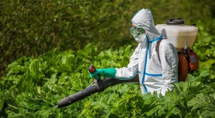 Для чего нужна гербитизация участков?