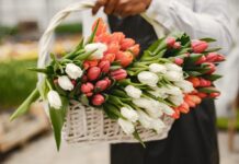 Цветы в корзине — как ухаживать?